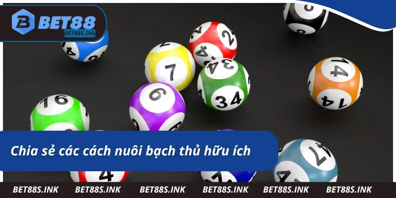 Bạch thủ lô là gì - Chia sẻ cách nuôi hữu ích