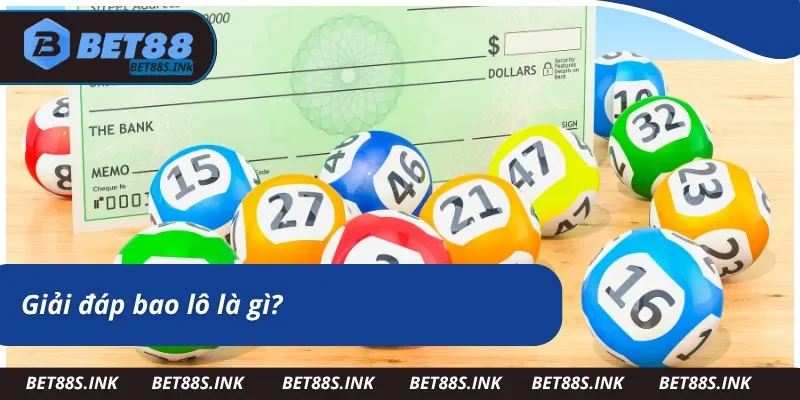 Tìm hiểu bao lô là gì?