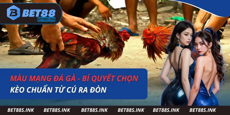 Màu Mạng Đá Gà