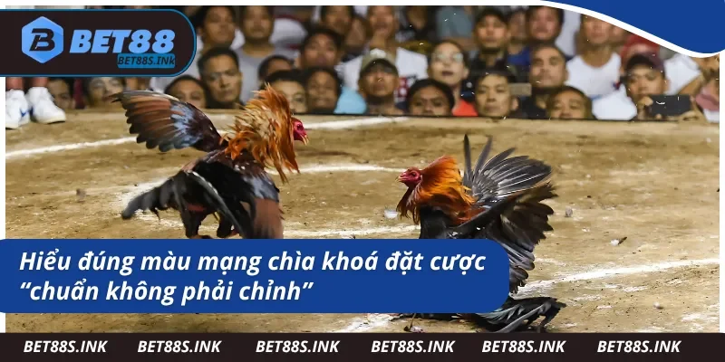 Phân tích về màu mạng đá gà mà bạn cần nắm 