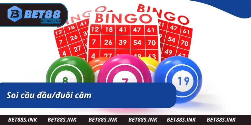 Soi cầu quả trám hiệu quả qua đầu và đít câm 