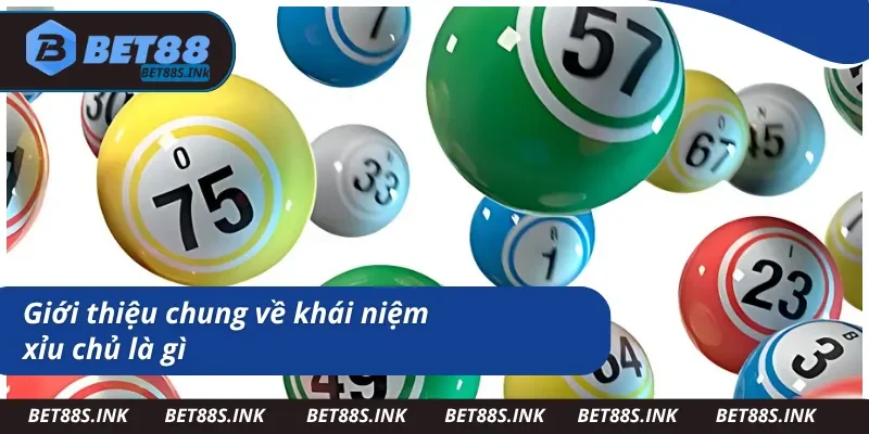 Giới thiệu về khái niệm xỉu chủ là gì